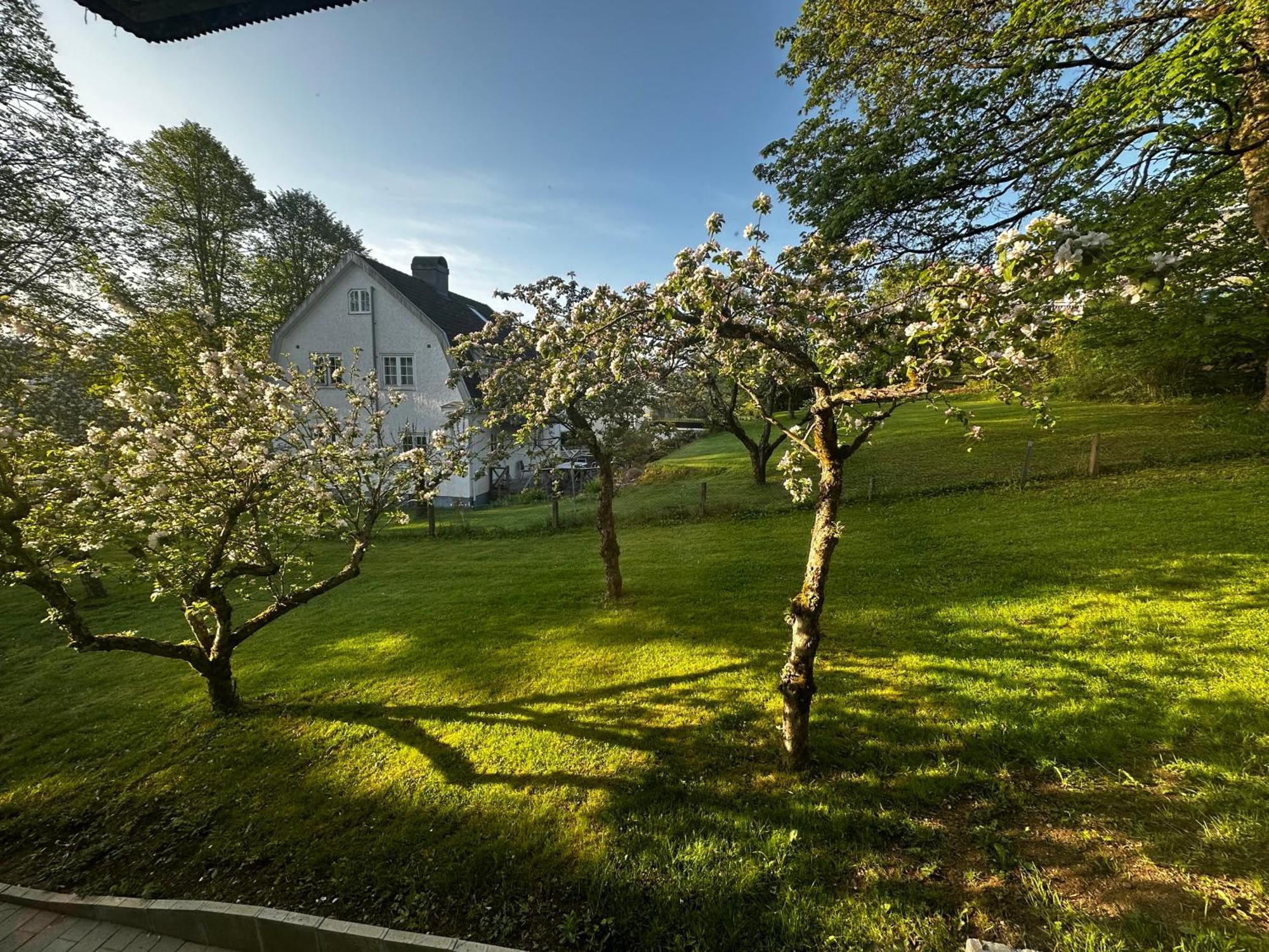 Luxury 2 Rooms Residence At The Heart Of Borås Εξωτερικό φωτογραφία